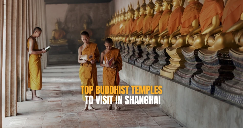 Top Buddhist Temples to Visit in Shanghai